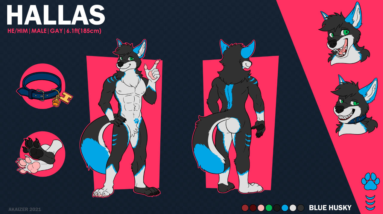 Ref sheet of a furry wolf